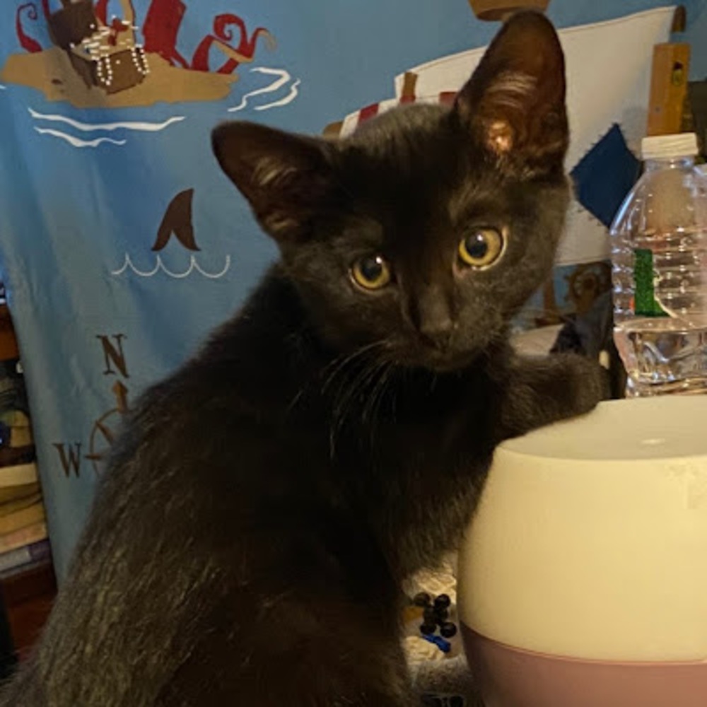 Meet your Posher, April